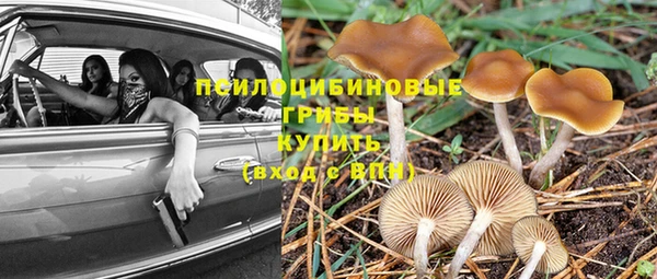 дживик Армянск